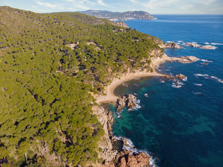 Aerial top view of coastal with cliff, turquoise water, rocks, foam, waves, and trees