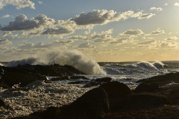 MAR Y ROCA PUNTA DEL ESTE URUGUAY 