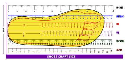 set of shoes chart size or socks chart size or measurement foot chart concept.Eps 10 vector, easy to modify