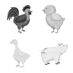 Vector illustration of homestead and agriculture logo. Set of homestead and kitchen vector icon for stock.