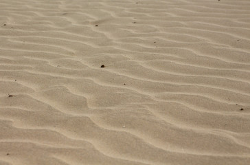 Fototapeta na wymiar Sand structure