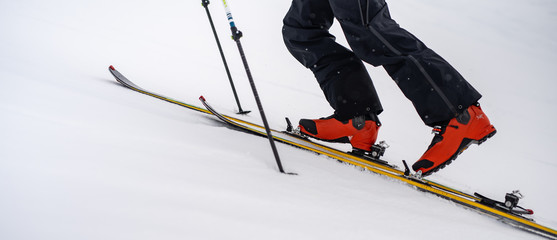 skier sticking climbing skins on splitboard. Ski touring equipment.