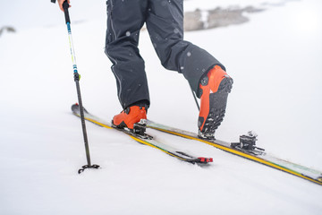 Ski Touring - narty na skitour- foki - narciarstwo - obrazy, fototapety, plakaty