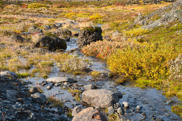 Nice view of the glacier Vatnajokull from the trail,Iceland