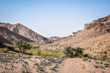 Wadi Dana, Jordan