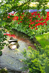 Small stream surrounding by red tulips and very green grass