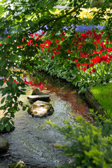 Small stream surrounding by red tulips and very green grass