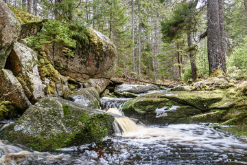 Obraz premium Brook Falls in deep forest with rocks and moss