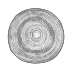 Vector wood texture of a monotone black and gray tree rings and ripples cross section wooden stump showing years and growth rings.