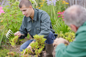 close up of landscape gardeners working together