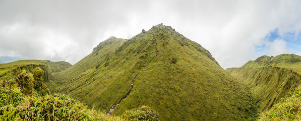 Mount Pelee green volcano hillside panorama, Martinique,  French overseas department © vadim.nefedov