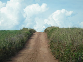 Fototapeta na wymiar red soil road to beach in P.E.I.