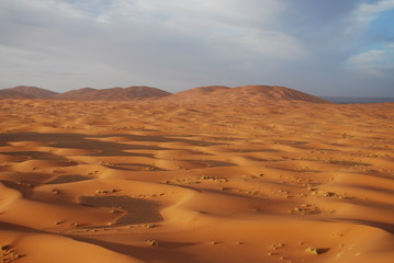 Fototapeta na wymiar Orange Dunes of the Sahara Desert at Sunset near Merzouga, Morocco