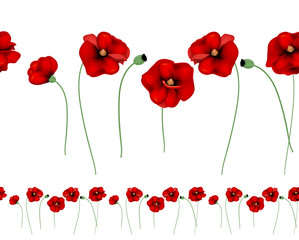 red poppies horizontal seamless pattern on a white background.