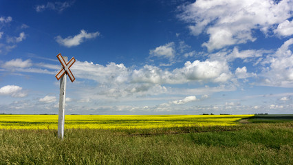 Saskatchewan Field