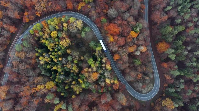 Aerial view of road through autumnal forest with truck and cars