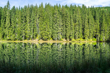 Picturesque lake panorama view with puffy clouds and coniferous forest reflections.