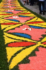 Street decorated with flowers at the Corpus Christi festival