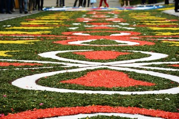 Street decorated with flowers at the Corpus Christi festival