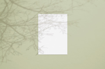 Blank white vertical paper sheet 5x7 inches with tree shadow overlay. Modern and stylish greeting card or wedding invitation mock up.