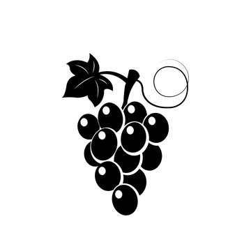 Grape branch icon vector illustration isolated on white background