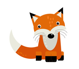 cartoon scene with wild animal fox on white background illustration