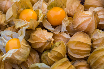 Pile of cape gooseberry on sale in the market. Physalis Fruits  on a black basket background. Gape gooseberries and natural background. Cape gooseberry in a basket.