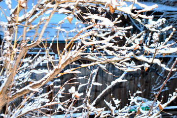 Winter snow outdoors.
