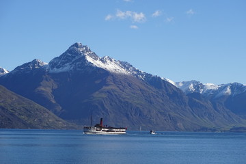 cruise in new zealand