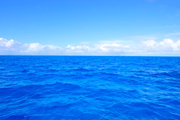 Fototapeta na wymiar the beautiful sea of Saipan