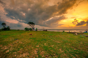 Fototapeta premium Abstract wallpapers of a blurry nature of colorful sky by the lake, with coconut palms and green fields, with cows walking on grass, seen in rural areas