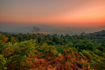 abstract background of nature,a high angle that can see the scenery around (trees,meadows,mountains, the light of the twilight in the evening) and the wind blowing through the large mountains