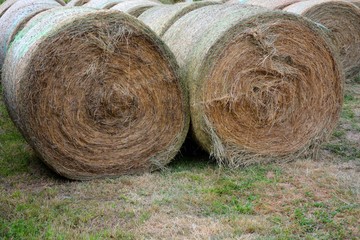 many straw bales of hay