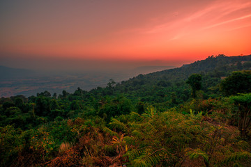 abstract background of nature,a high angle that can see the scenery around (trees,meadows,mountains, the light of the twilight in the evening) and the wind blowing through the large mountains