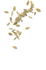 Obraz na płótnie Canvas Pumpkin Seeds Falling in Free Motion Bulk. isolated Over White Background.
