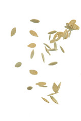 Pumpkin Seeds Falling in Free Motion Bulk. isolated Over White Background.