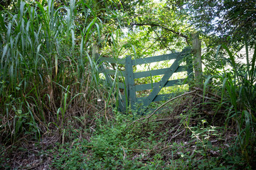 Old abandoned rural gate