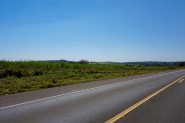 Fototapeta premium Brazilian pavimented and signed rural road