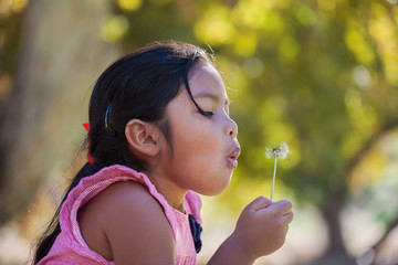 A little kid that has blown a dandelion bloom on a single breath and is spreading the seeds into the air. - obrazy, fototapety, plakaty