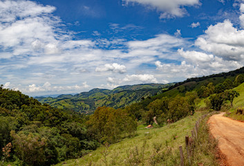 Fototapeta na wymiar ▲ panoramic landscape with lots of greenery and a small dirt road beside