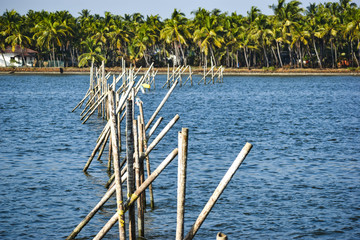 scenic view of coastal blue waters, coconut trees and white crossed woods