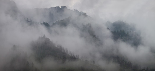 Mountains in the clouds, natural backgrounds. Misty morning, natural light.