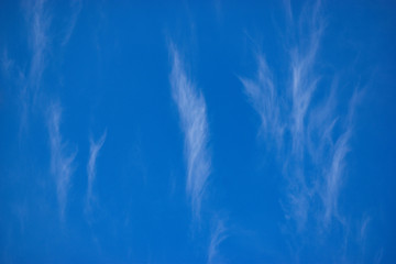 Beautiful pattern of white feathery clouds in blue sky