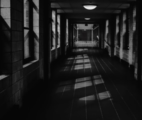 Shadows