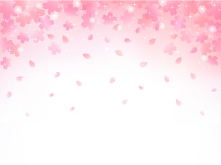 桜の背景イラスト