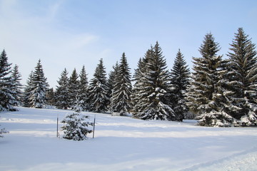 Dusting Of Snow, Gold Bar Park, Edmonton, Alberta