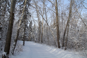 Snowy Trail, Gold Bar Park, Edmonton, Alberta