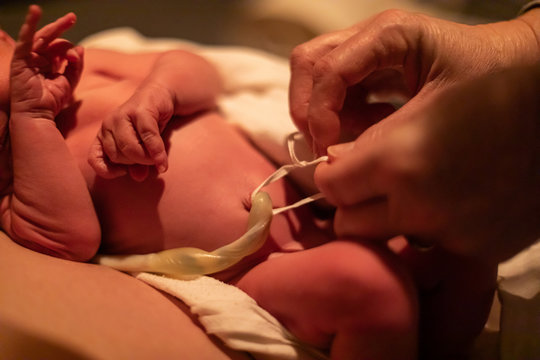 Hands of an obstetrician doctor are seen at work close up in thee moments after childbirth, tying intact umbilical cord of newborn baby boy, with copy space