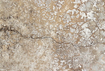 Gray cement backround. Wall texture