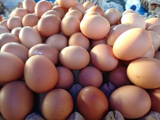 Egg in the traditional market